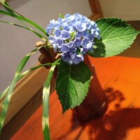 鮨うえの - 