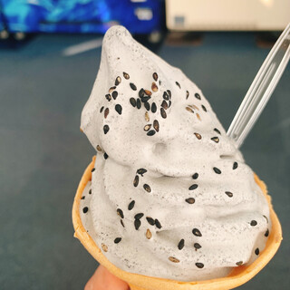 新江ノ島水族館内でランチに使えるお店 ランキング 食べログ