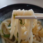 Fujimi Udon - 