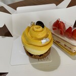 KURA - マンゴー蜂蜜ムース