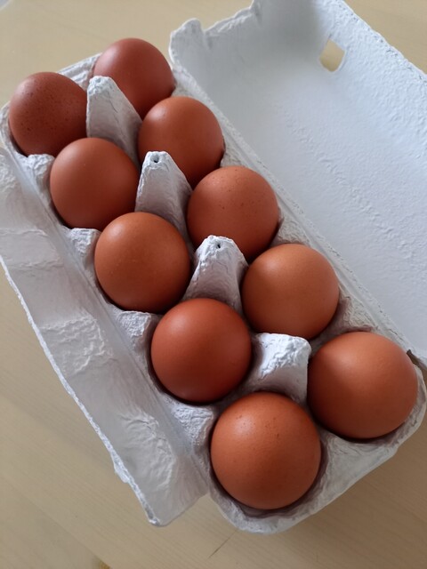 雑貨屋ティノーマ - 糸井（その他）の写真