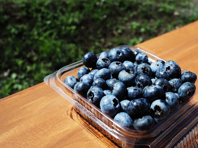 蔵王ブルーベリー農園 レストハウス - 蔵王町その他（カフェ）の写真