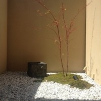 福島 もう利 - ステキな中庭