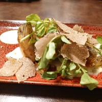 オッジ ダルマット 西麻布店 - 
