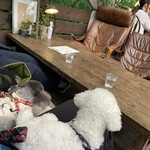 ​冬のRK GARDEN - 