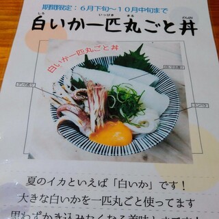 白いか丼 By Bmm1976 魚や はらとく 香住 魚介料理 海鮮料理 食べログ 白いか丼 By Bmm1976 魚や はらとく 香住 魚介料理 海鮮料理 食べログ