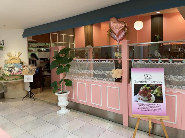 プルメリアラクーン 高知大丸店 Plumeria Raccoon はりまや橋 ケーキ 食べログ プルメリアラクーン 高知大丸店 Plumeria Raccoon はりまや橋 ケーキ 食べログ
