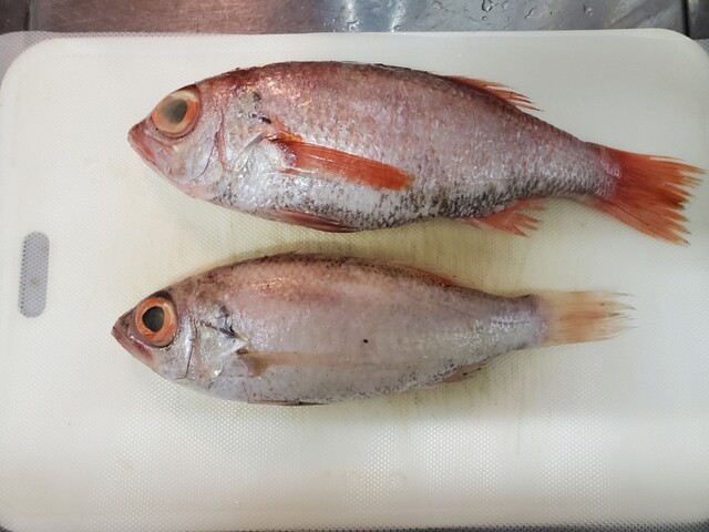 はまだお魚市場 西浜田 その他 食べログ