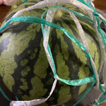 佐藤農園農産物直売所 - 昔ながらの網で