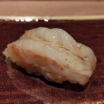 品川 鮨 栞庵 やましろ - ボタン海老し