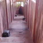 中村屋 - 露店から出ます