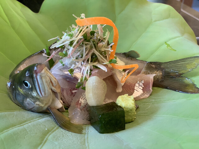 鮎と和洋創作料理 さるとび荘 - 中津川/創作料理 | 食べログ