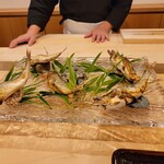 勢麟 - 天竜川の天然鮎