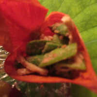 伊勢 三玄 - 絹さや胡麻和え