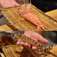 難波 鮨 栞庵 やましろ - 