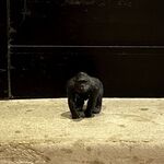 扇町うどん屋 あすろう - 