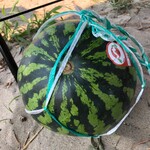 スーリープー - 