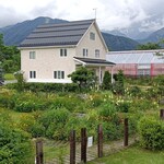 呑者屋 - 庭