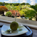 ボンサイ カフェ - 