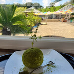 ボンサイ カフェ - 