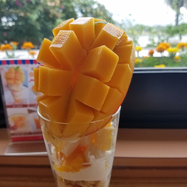 カンナ 宮崎空港 カフェ 食べログ