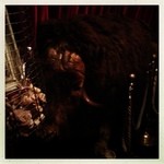 ル コンテ - ヌーの剥製。でも暗くて全然見えないね！