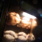 Tori Katsu - 2012年8月