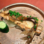 イル アオヤマ - 