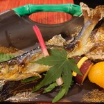 崖の湯 薬師平茜宿 - 