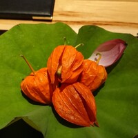 神楽坂 よこ田 - 風雅なお通し！