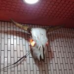 一条流がんこ総本家分家四谷荒木町 - 