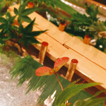 弧玖 - もみじの種