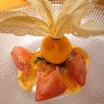 ドディチ・マッジョ - 