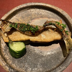 イル アオヤマ - 