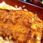 田舎庵 小倉本店 - アップ。外側カリッと、中は、ほろほろです。