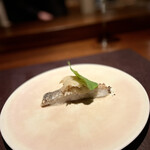 アカ - 太刀魚のアラブラサ