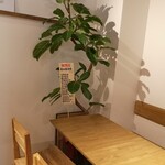 Hishidaya Sakaba - お祝いの植木