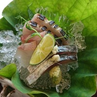 能勢 日本料理 新 - 