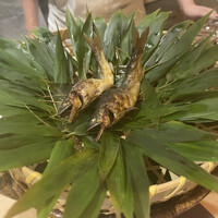 麻布さおとめ - 