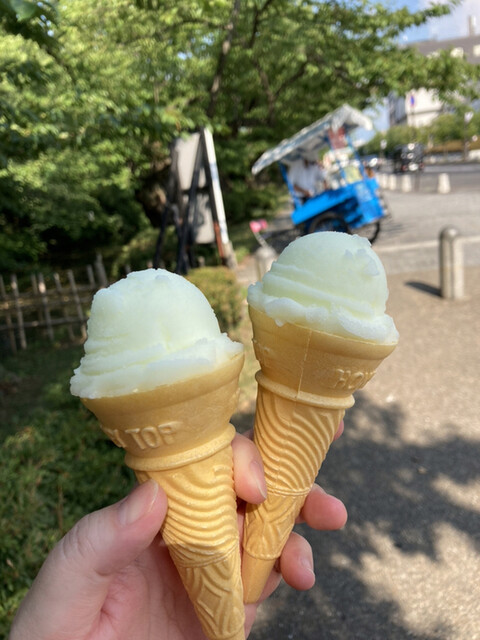 藤田アイス店 - 中央弘前/ジェラート・アイスクリーム | 食べログ