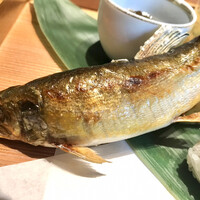 喜楽 - 鮎の塩焼き。立派な大きさの鮎ですね。