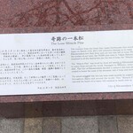 道の駅 高田松原 - 