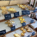 ブールミドリダイ - 