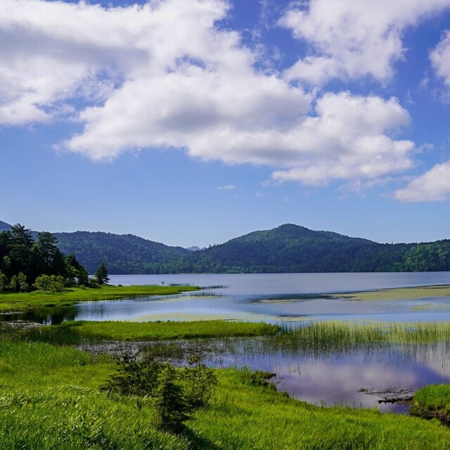 尾瀬小屋 - 檜枝岐村その他（旅館・民宿）の写真