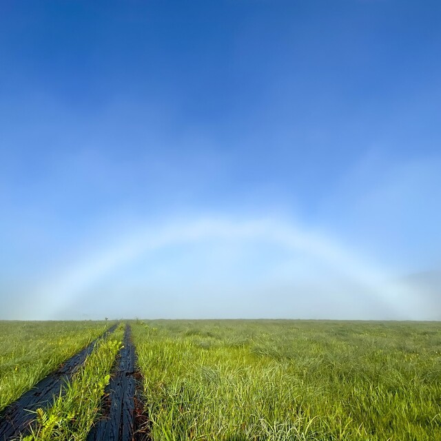 尾瀬小屋 - 檜枝岐村その他（旅館・民宿）の写真