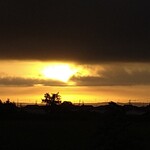 さかなどころ ともさき - 