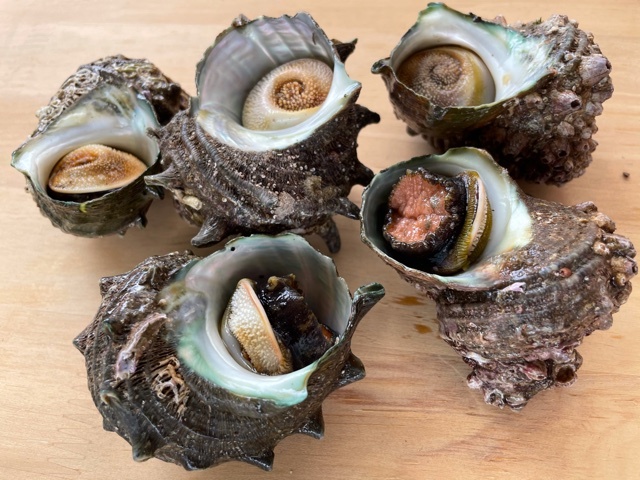 坂尾鮮魚店 - 鶴岡（その他）の写真