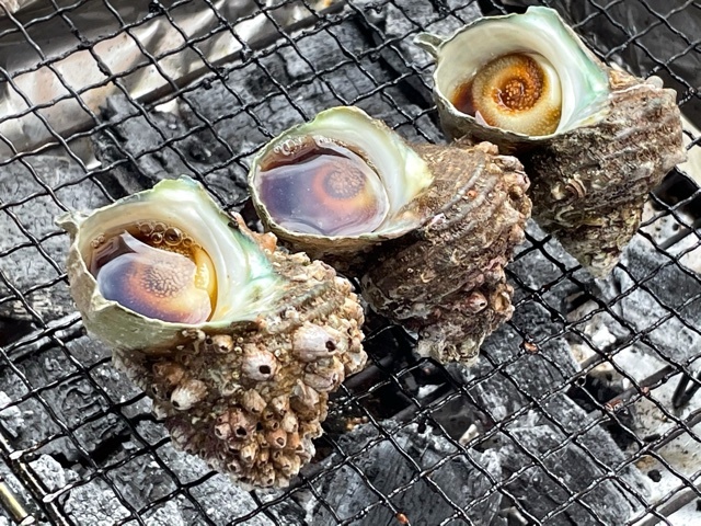 坂尾鮮魚店 - 鶴岡（その他）の写真