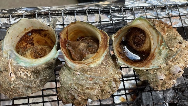 坂尾鮮魚店 - 鶴岡（その他）の写真