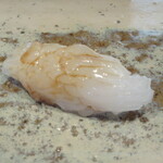 菊鮨 - アオリイカ(福岡鐘崎)